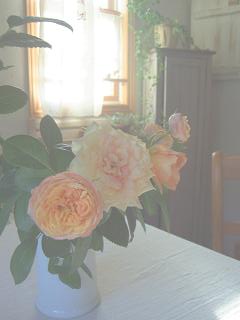 a0051108_16514143.jpg