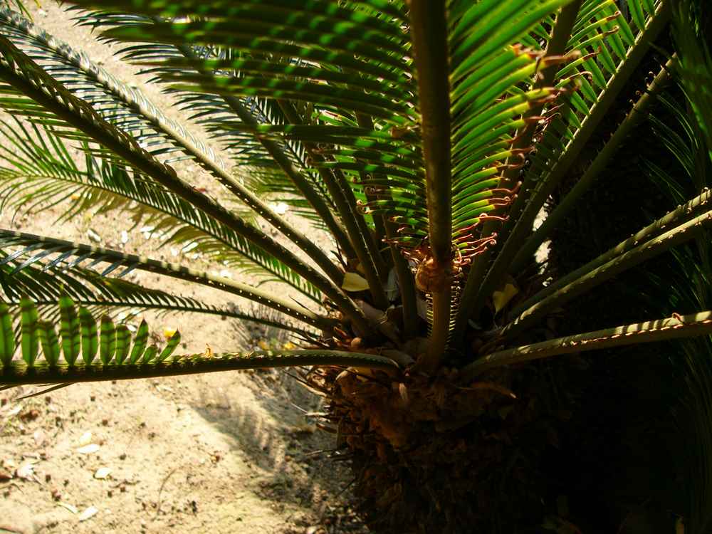 c0062511_21592812.jpg