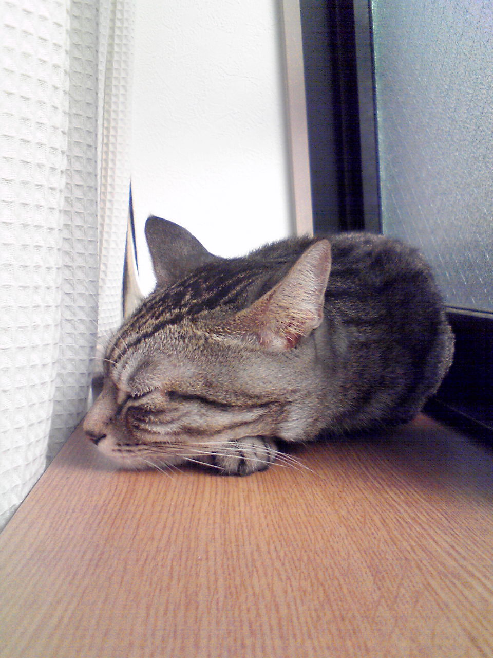 c0125532_1622179.jpg