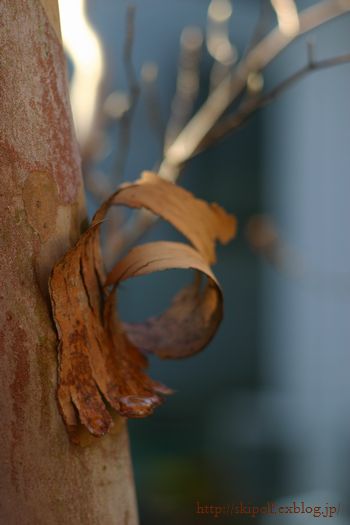 c0134734_235715.jpg