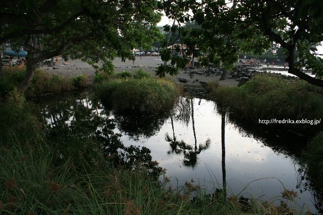 e0129046_5122295.jpg
