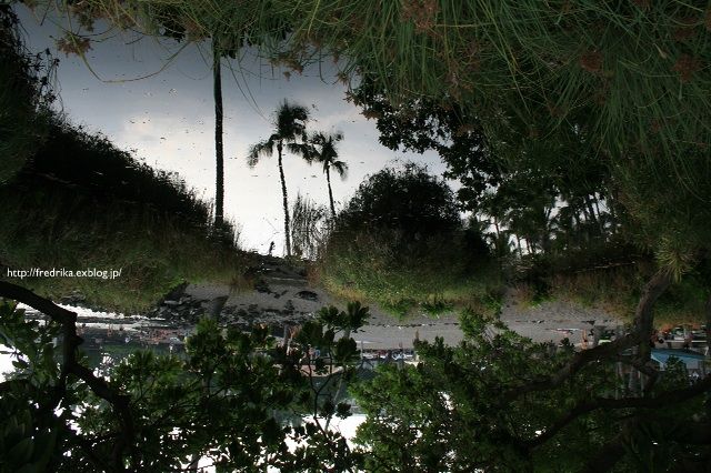 e0129046_5132988.jpg