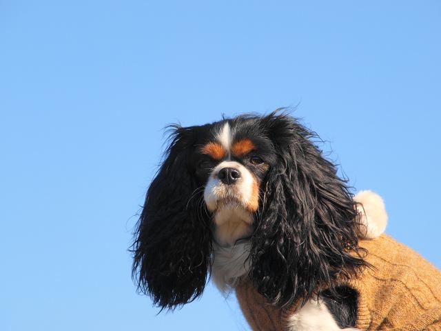 c0145250_20103456.jpg