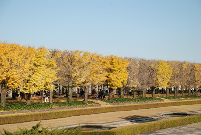 f0140454_213466.jpg