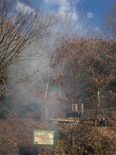 f0007956_2132530.jpg
