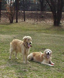 c0097558_16141369.jpg