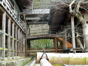 b0019960_1956066.jpg