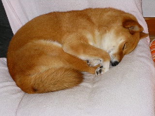e0160568_16242744.jpg