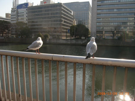 b0002879_16505148.jpg