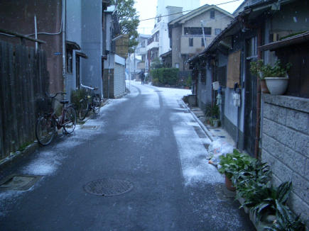b0002879_171626.jpg