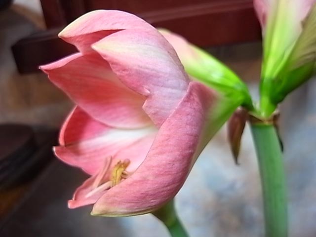 c0158081_1402251.jpg