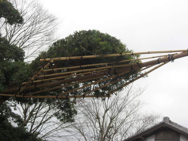 e0140491_10342222.jpg