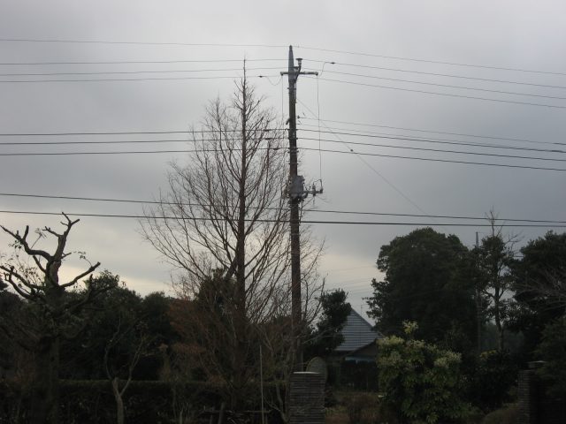 e0140491_1039323.jpg