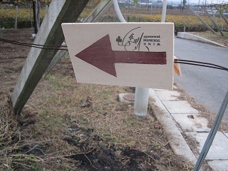 c0077697_19165524.jpg