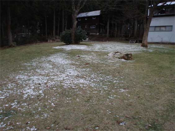 a0061599_6585714.jpg