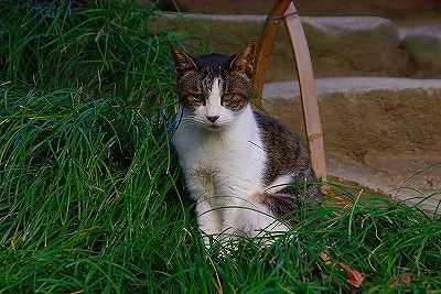 a0024005_16435357.jpg