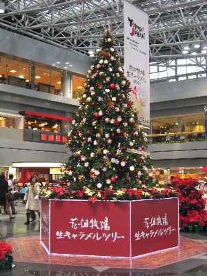 f0041606_208458.jpg