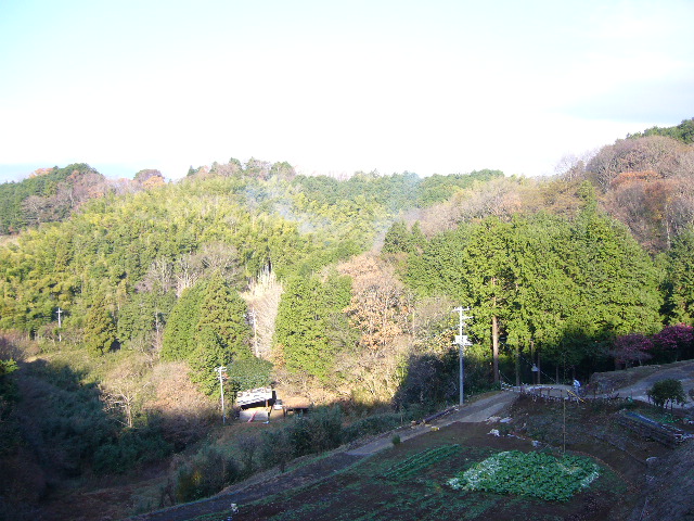 e0015108_21572185.jpg