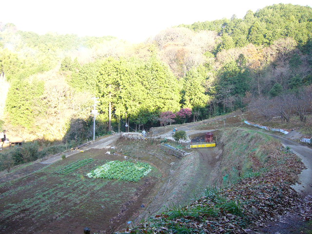 e0015108_21573827.jpg