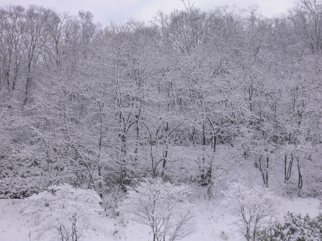 f0141209_10363985.jpg