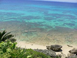 c0000816_10262521.jpg