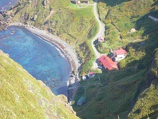 c0000816_1113105.jpg