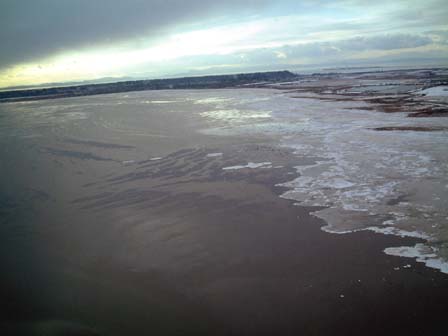 c0018716_1449495.jpg