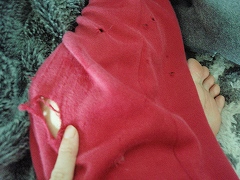c0145016_1249529.jpg