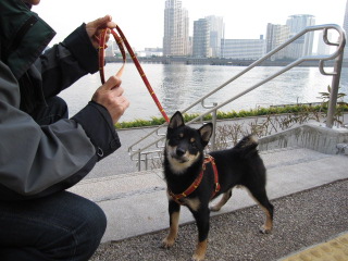 c0185516_1573768.jpg