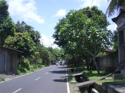 b0034422_1145940.jpg