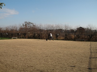e0162524_2352761.jpg