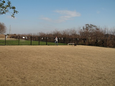 e0162524_235371.jpg
