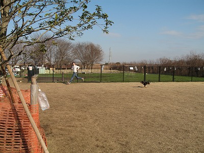e0162524_2354597.jpg