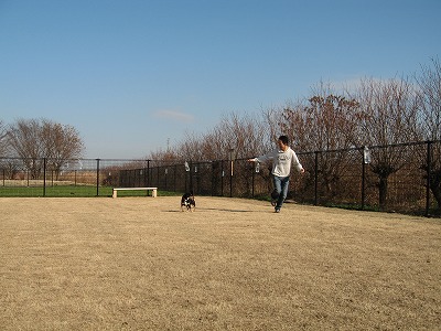 e0162524_236166.jpg
