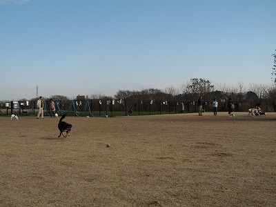 e0162524_237504.jpg