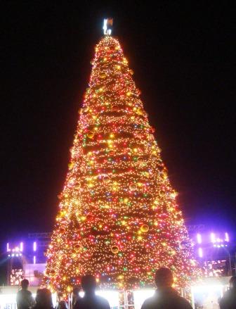 e0024126_21522694.jpg