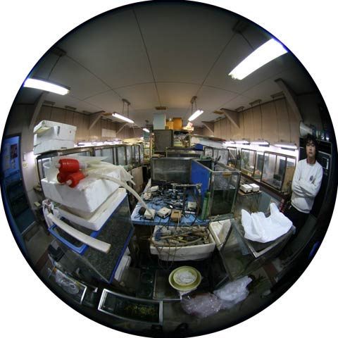 f0177529_18442364.jpg