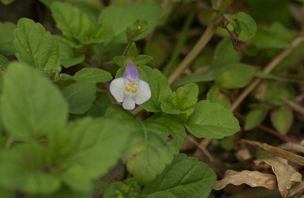 d0053930_6552998.jpg