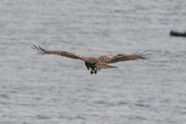 e0064133_0311316.jpg