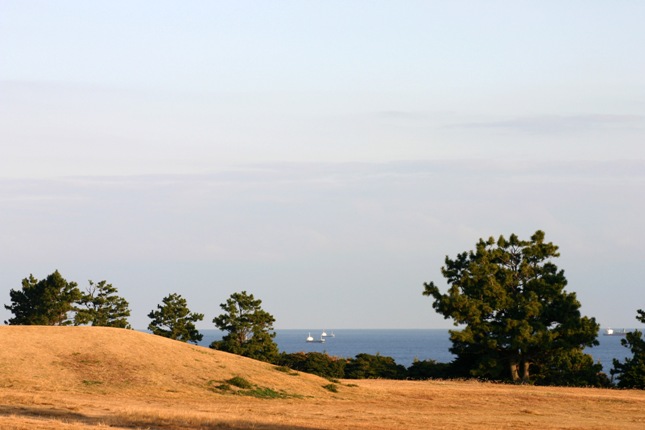 e0083238_0332849.jpg