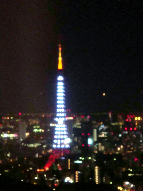 a0046339_1025732.jpg
