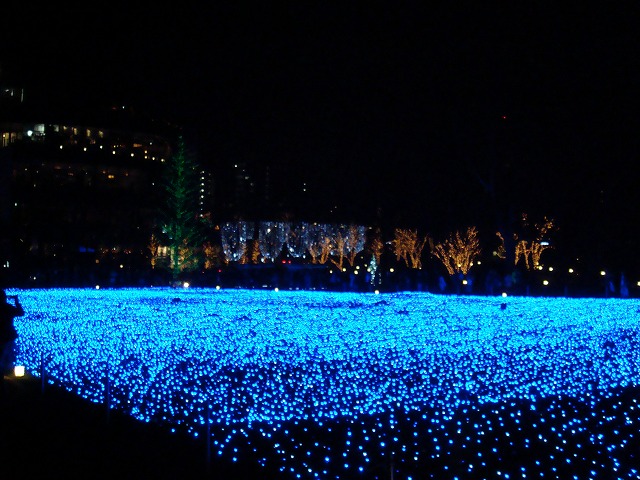 a0046339_2025713.jpg
