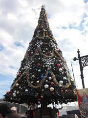 e0019942_1749113.jpg