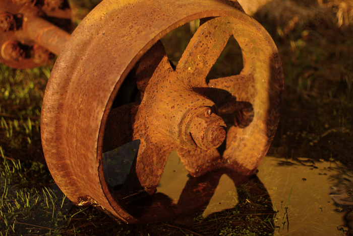 b0130243_2014117.jpg