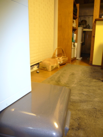 e0058443_2201545.jpg