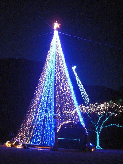 f0094843_23243375.jpg