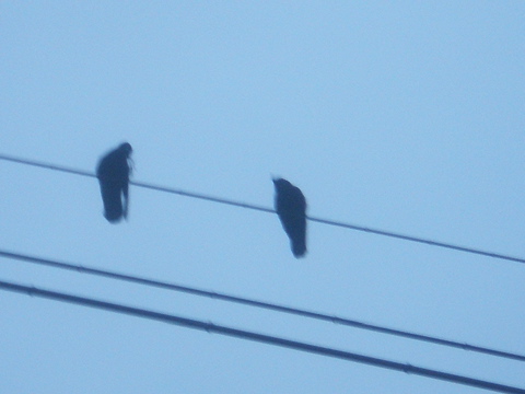 c0153444_7464441.jpg
