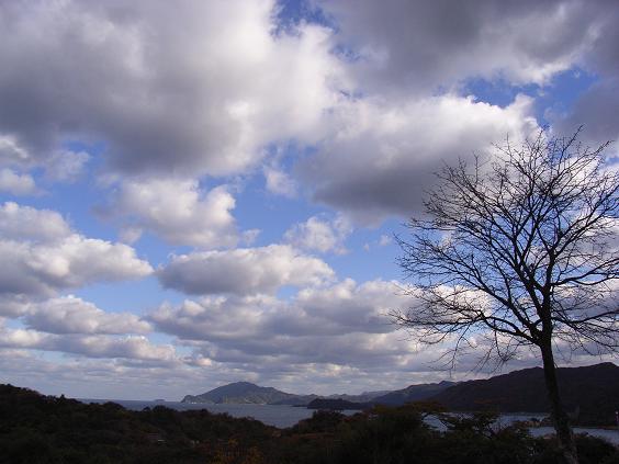 a0017846_1717494.jpg
