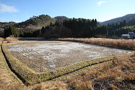 e0113053_2313680.jpg