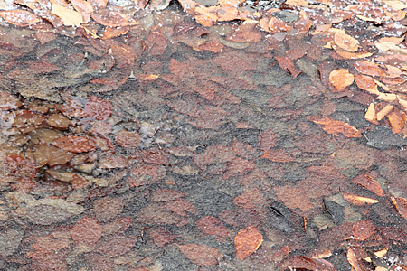 e0113053_23153632.jpg